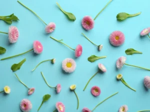 The Role of Hormones in Fertility
