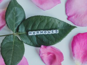 The Role of Hormones in Fertility